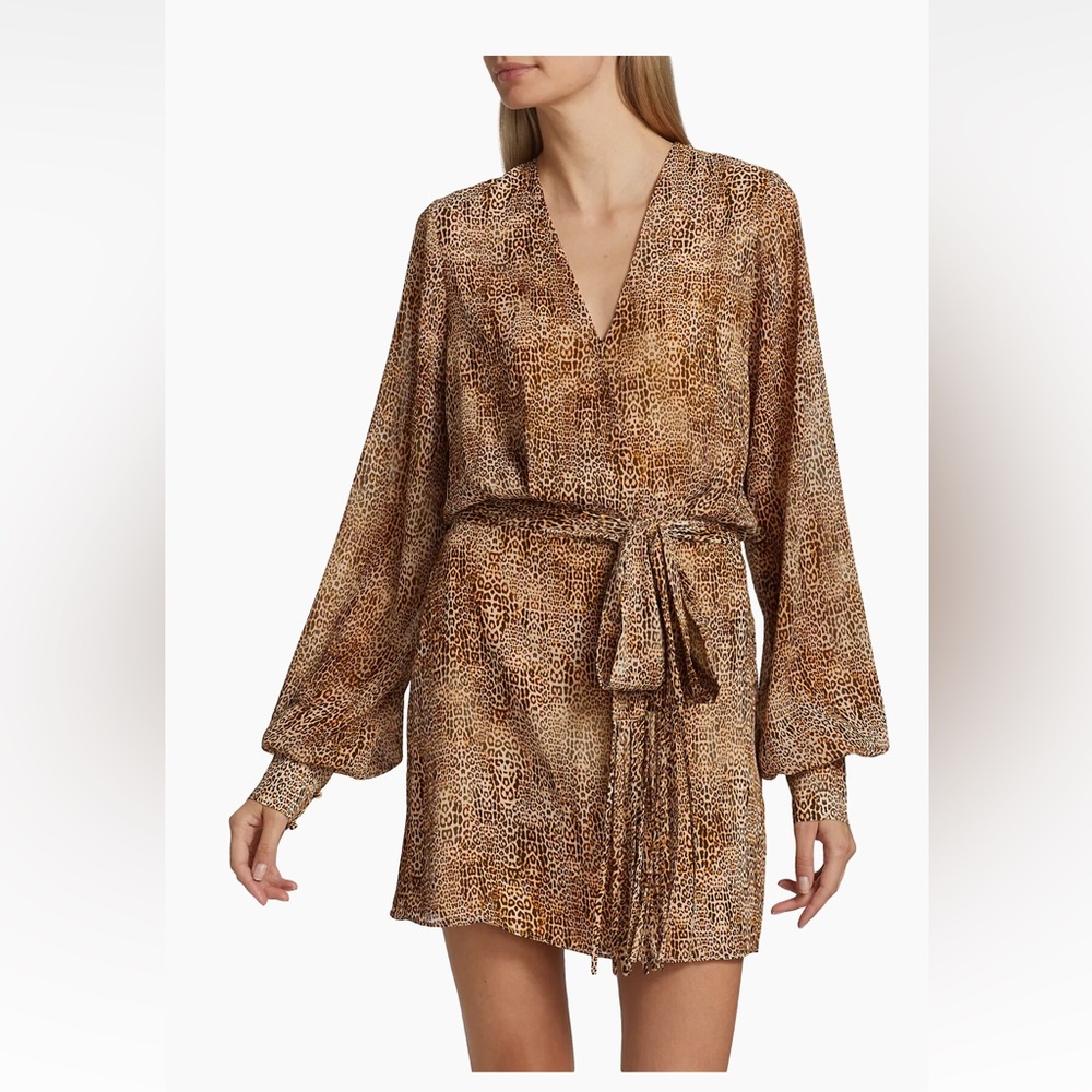 Alexis Dula Printed Dress